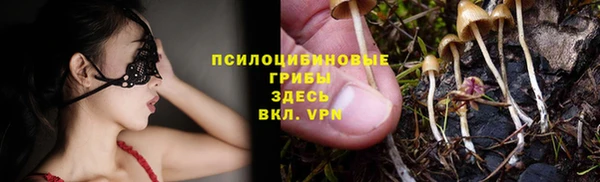 гашиш Новозыбков