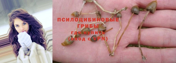 винт Абинск