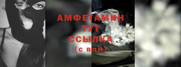 молекула духа Вязьма