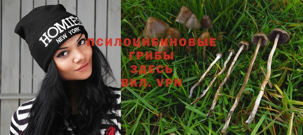 винт Абинск