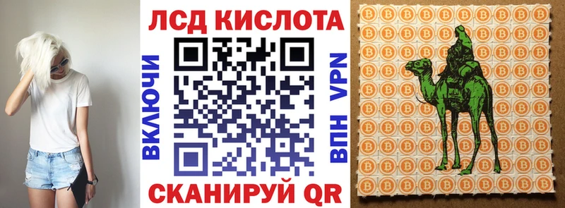 закладка Нариманов Марки N-bome 1500мкг